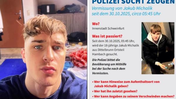 2025-11-19_15-55_collage