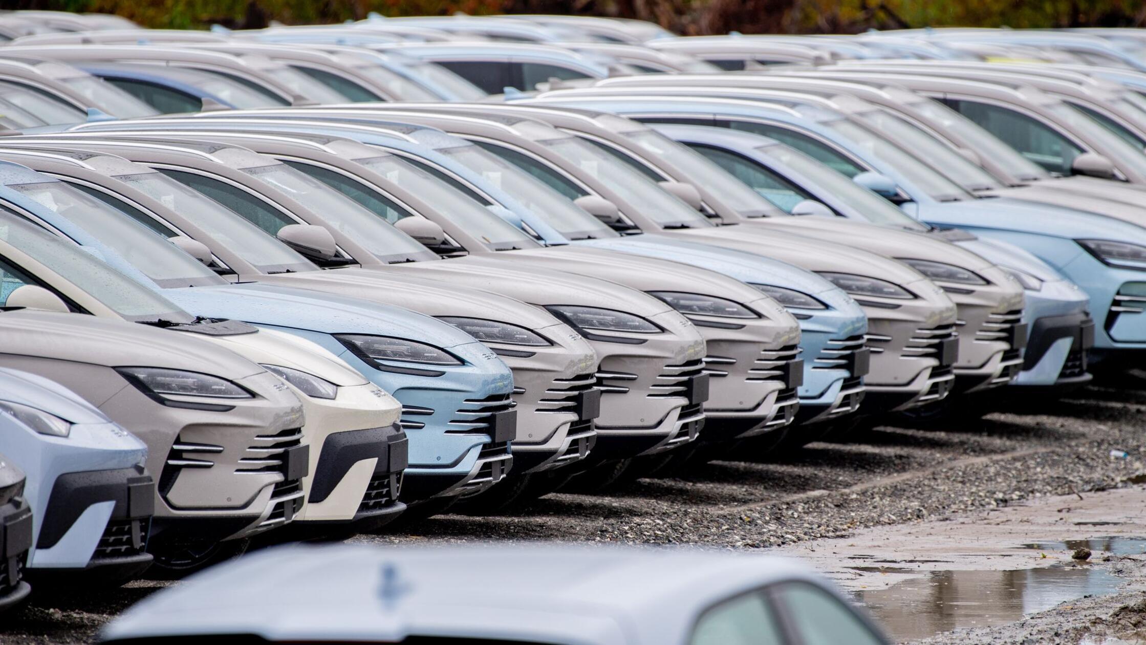 Mehr als jede fünfte Neuzulassung elektrisch