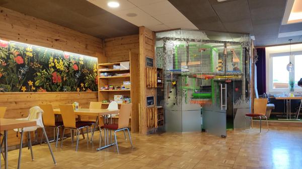 Im Speisesaal können sich die Kinder nach dem Essen auf dem Klettergerüst verausgaben.