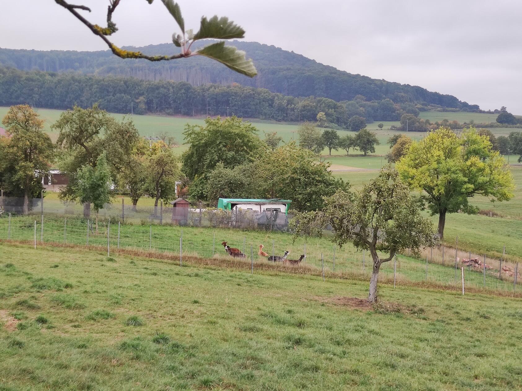 Das Hotel liegt umgeben von Hügeln der vorderen Kuppenrhön. Hier kann man verschiedene Wanderungen oder andere Ausflüge unternehmen.