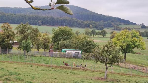Das Hotel liegt umgeben von Hügeln der vorderen Kuppenrhön. Hier kann man verschiedene Wanderungen oder andere Ausflüge unternehmen.