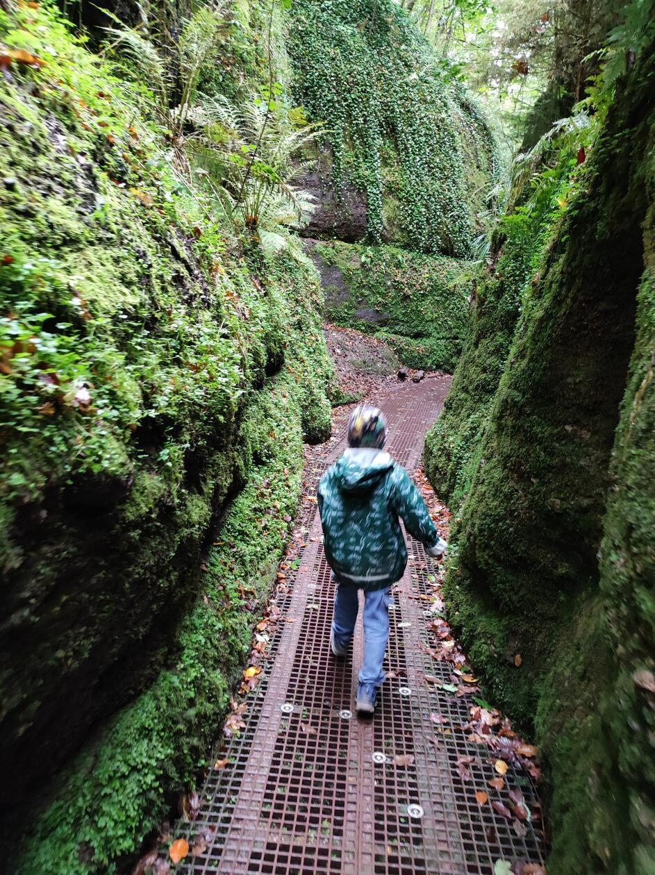 Entlang der B19 kurz vor Eisenach liegt die "Drachenschlucht", eine schmale Klamm mit einem beliebten Wanderweg.