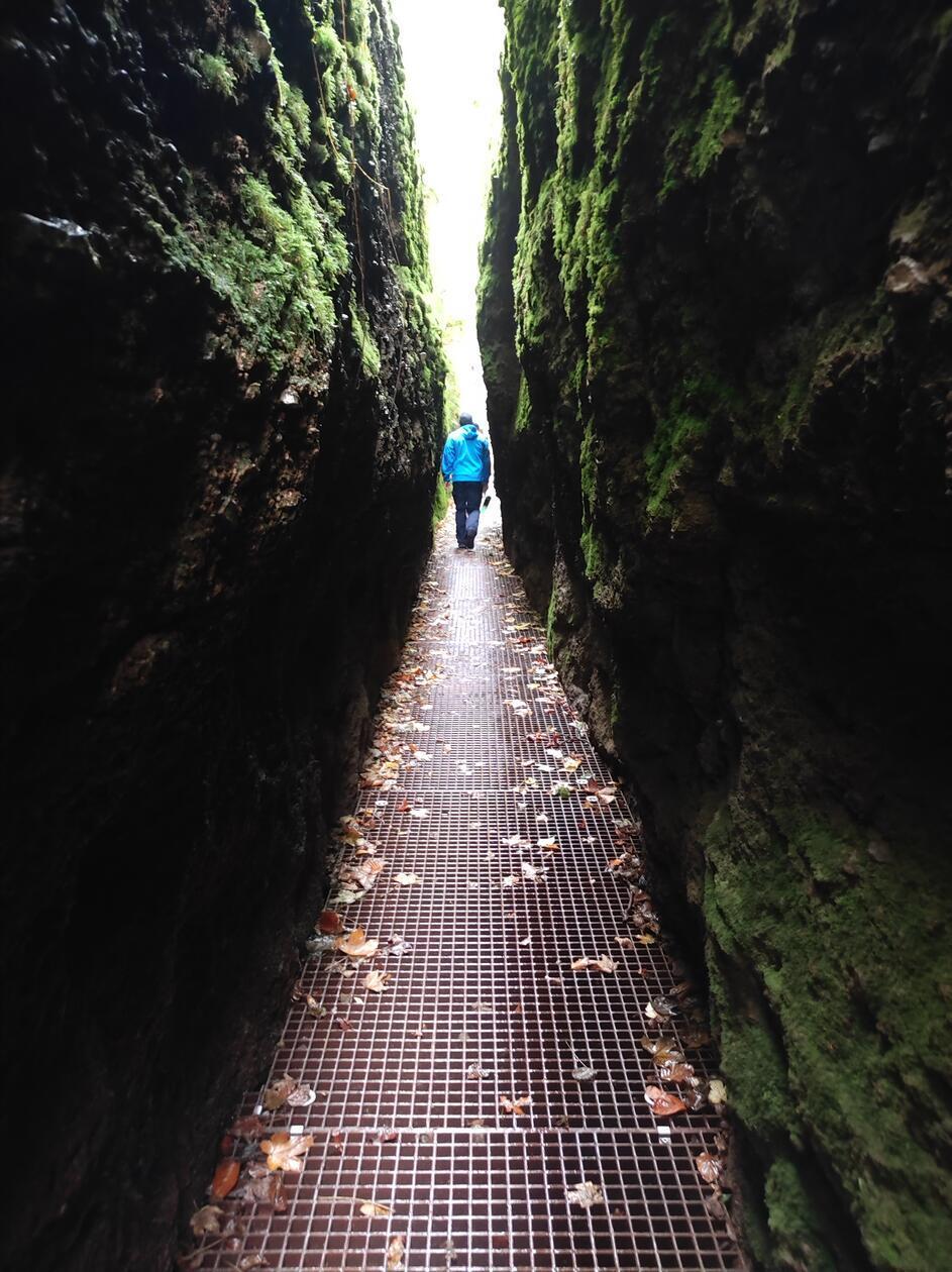 Dieser führt abenteuerlich zwischen moosbewachsenen Felsen hindurch und ist für Kinder ein Highlight. Aus der Klamm führen auch Wege in Richtung Wartburg.