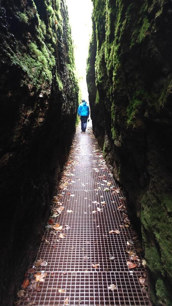 Dieser führt abenteuerlich zwischen moosbewachsenen Felsen hindurch und ist für Kinder ein Highlight. Aus der Klamm führen auch Wege in Richtung Wartburg.