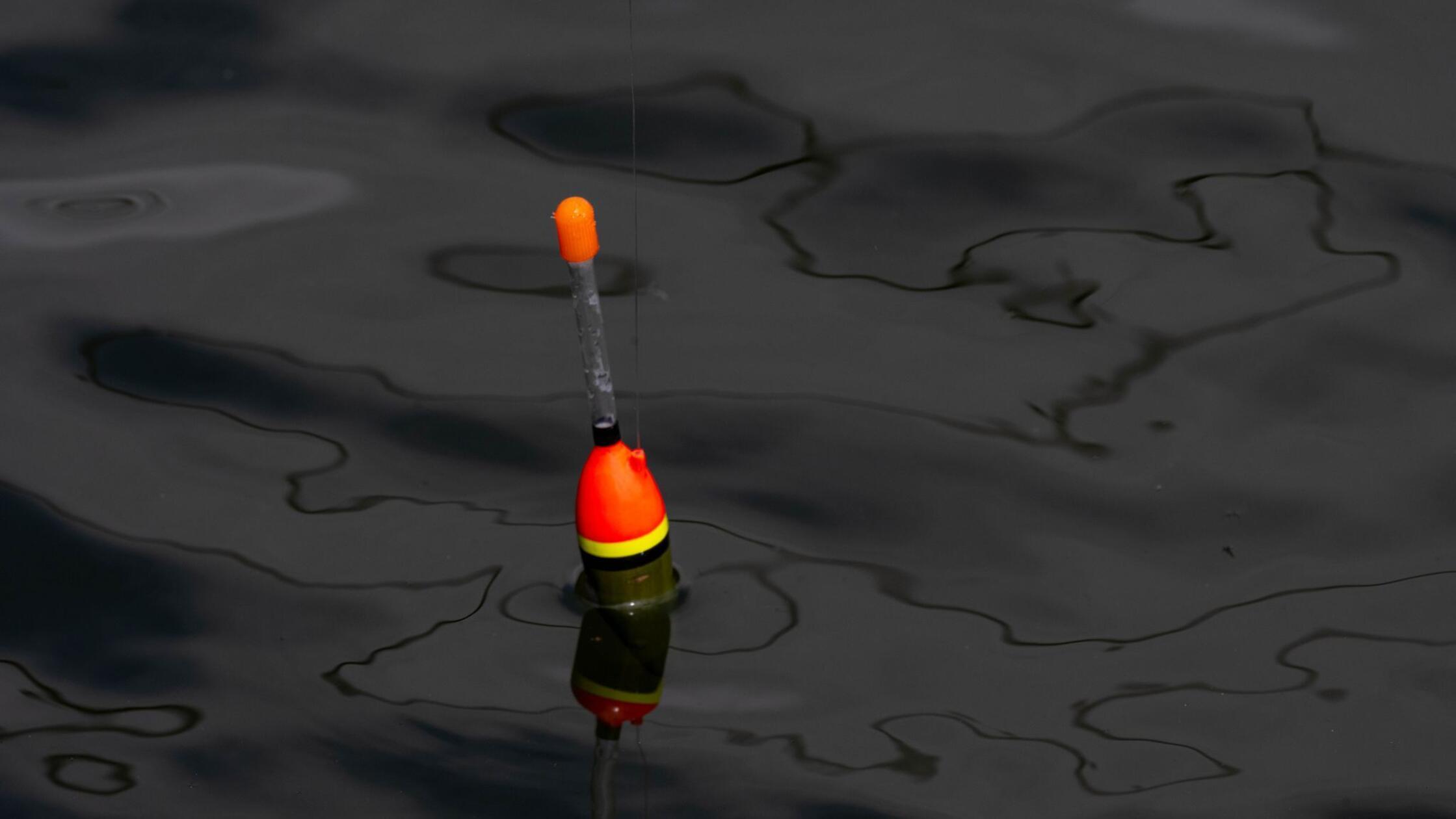 Lebender Fisch als Köder: Jugendlicher in Franken versucht Beweise vor Polizei zu vernichten