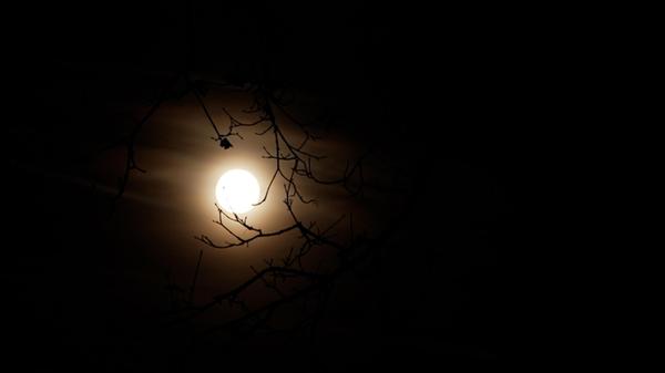 Der Supermond leuchtet über Deutschland: In weiten Teilen der Bundesrepublik war der größte Vollmond des Jahres dem Deutschem Wetterdienst zufolge in der Nacht gut zu sehen. So auch in Dietfurt an der Altmühl in der Oberpfalz.