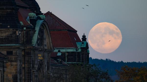 ARCHIV - 05.11.2025, Sachsen, Dresden: Der Vollmon