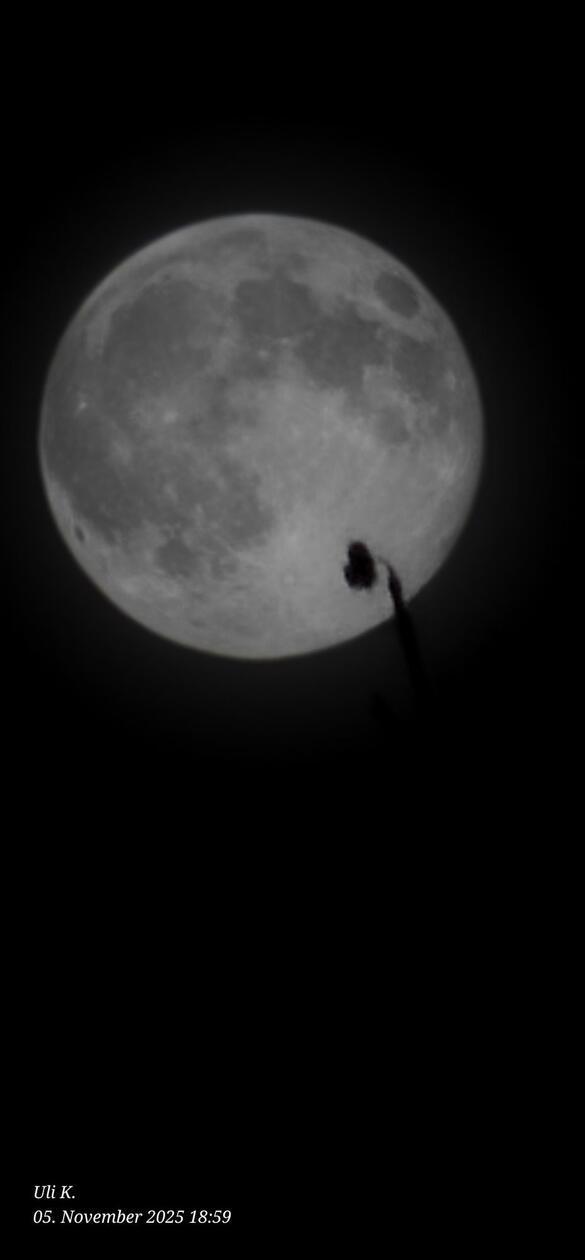 Der Supermond in Bad Neustadt an der Saale, Kreisstadt des unterfränkischen Landkreises Rhön-Grabfeld.