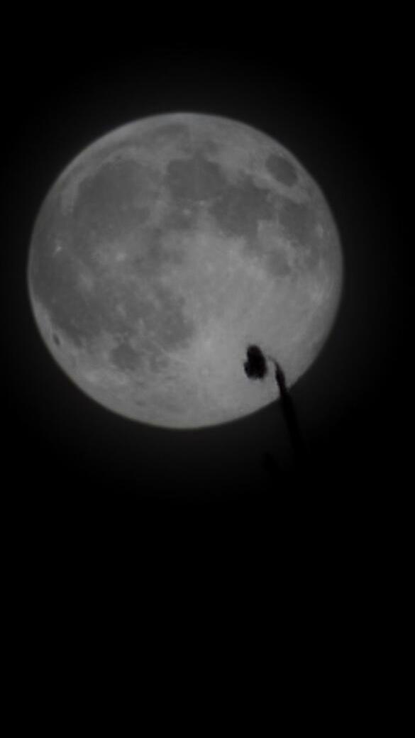 Der Supermond in Bad Neustadt an der Saale, Kreisstadt des unterfränkischen Landkreises Rhön-Grabfeld.