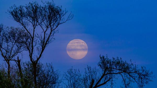 Der Vollmond leuchtete bereits am späten Nachmittag über der Landschaft im Oderbruch im östlichen Brandenburg.