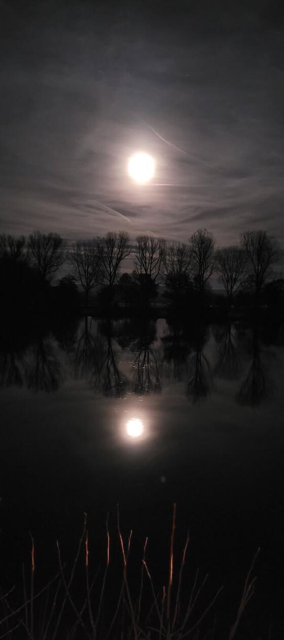 Der Supermond samt Spiegelung im Wasser in Bamberg.