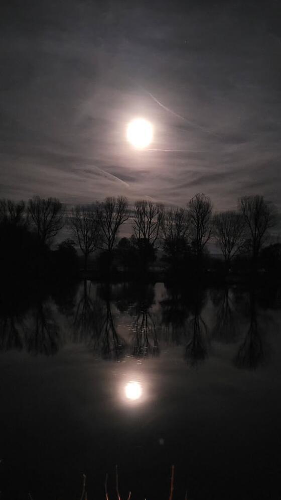 Der Supermond samt Spiegelung im Wasser in Bamberg.