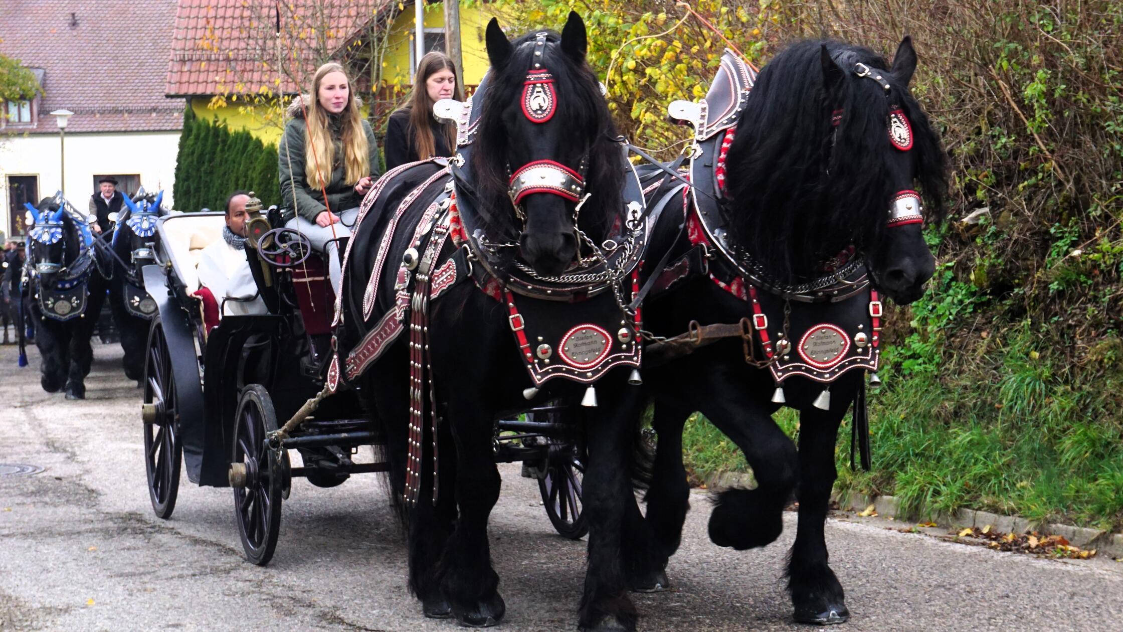 Jahr für Jahr ein prächtiges Ereignis - der Martin