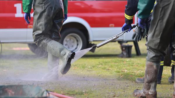 Vogelgrippe Donau-Ries