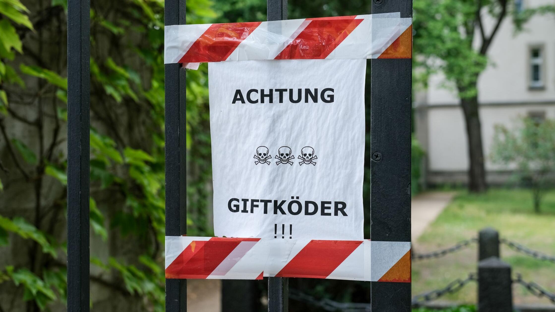 64-Jähriger soll Giftköder im Maintal ausgelegt haben