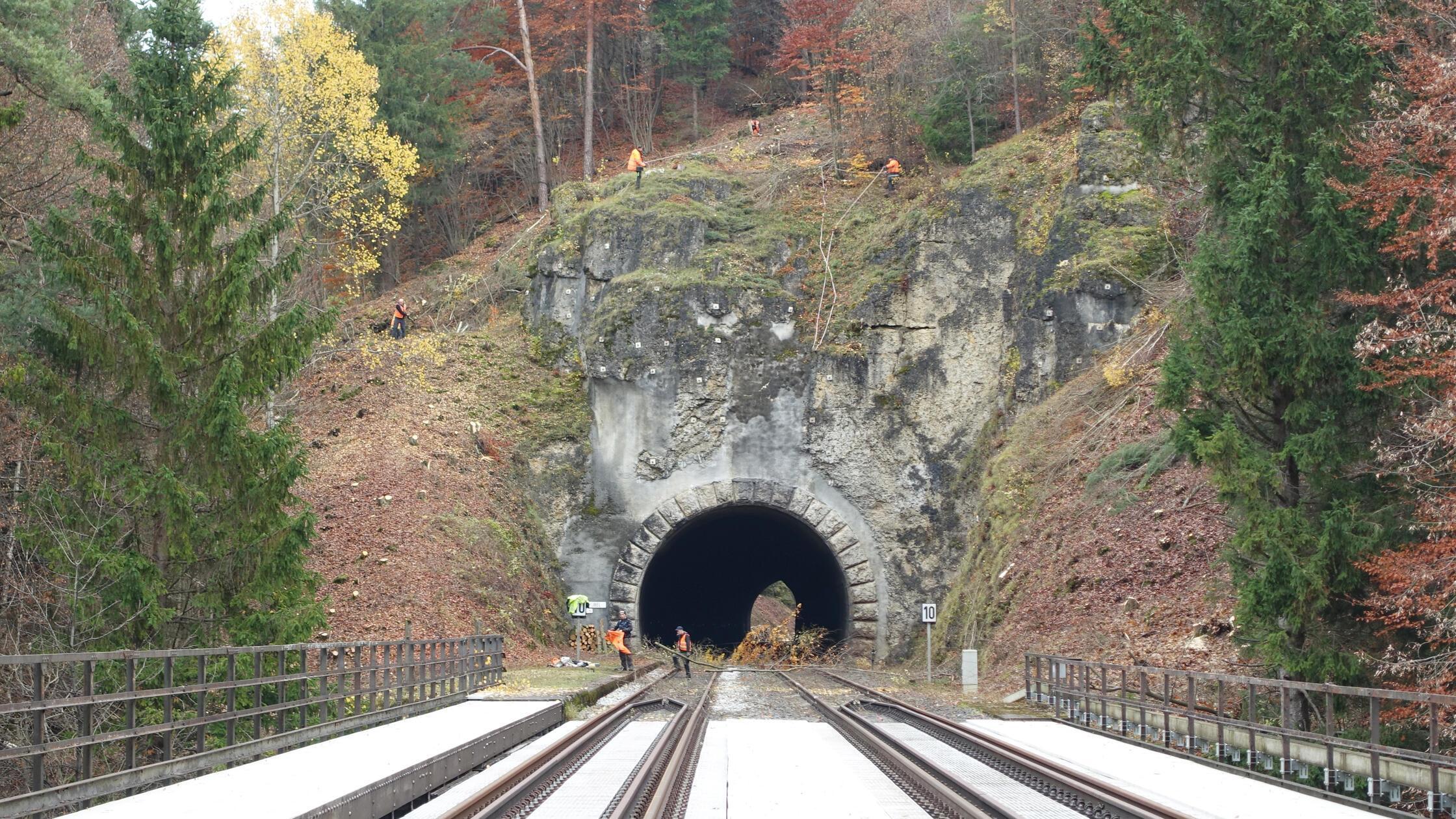 Westliches Tunnelportal des Haidenhübel-Tunnel wir