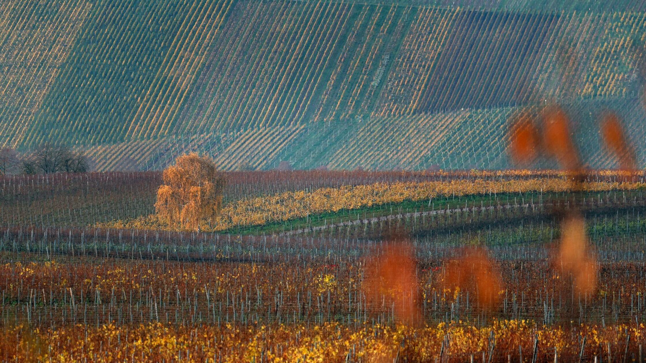 Sonne und bis zu 20 Grad - mit der neuen Woche kühler