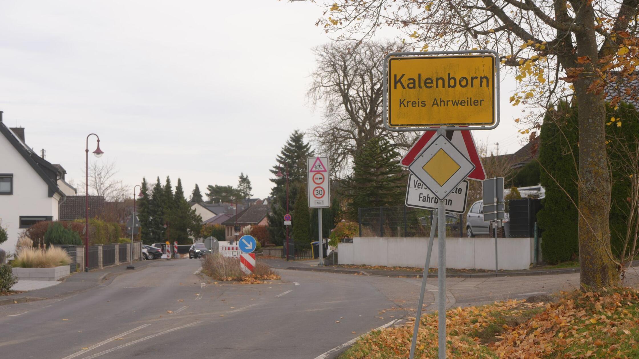 Suche nach mutmaßlicher Großkatze in Rheinland-Pfalz läuft