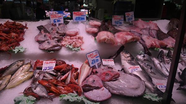 BG Palma Kochkurs Mallorca