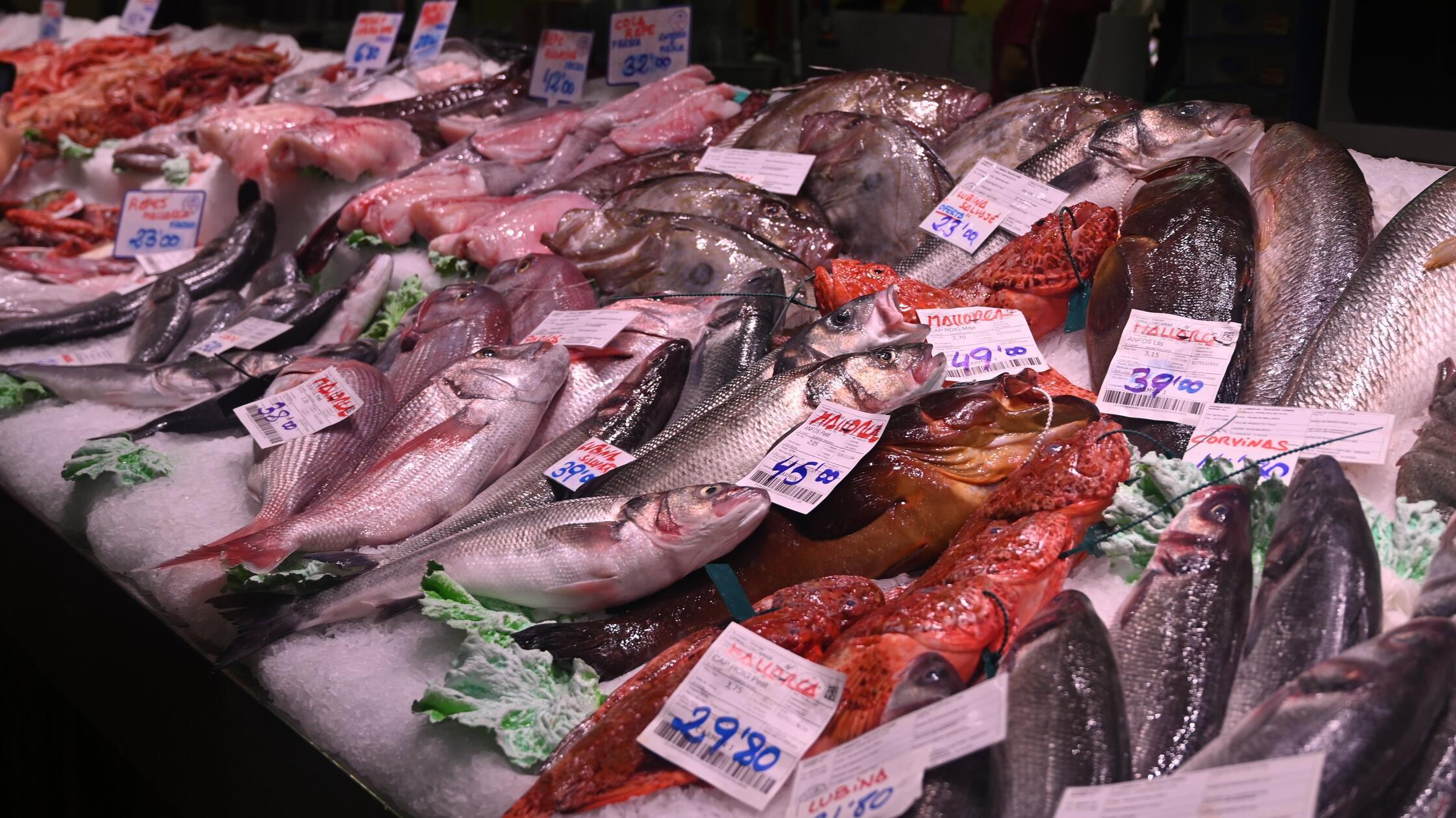 Kochkurs in Palma - Fisch, Fisch, Fisch!