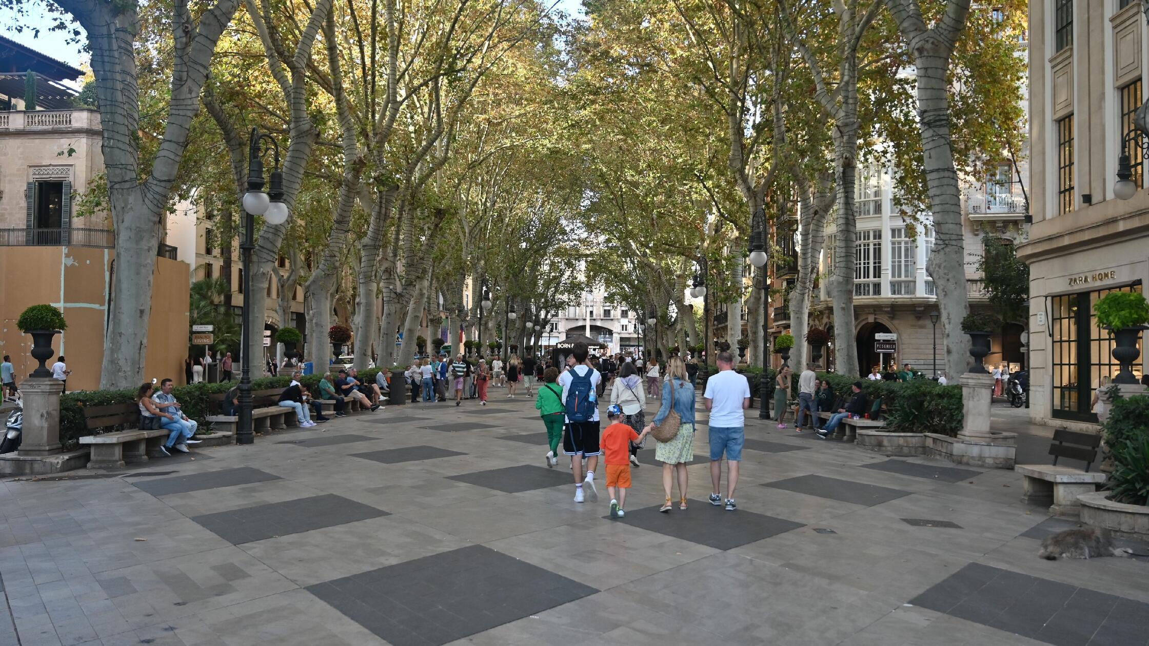 Eindrücke aus Palma, der Hauptstadt von Mallorca: Die Flaniermeile in Palma, der Passeig del Born.