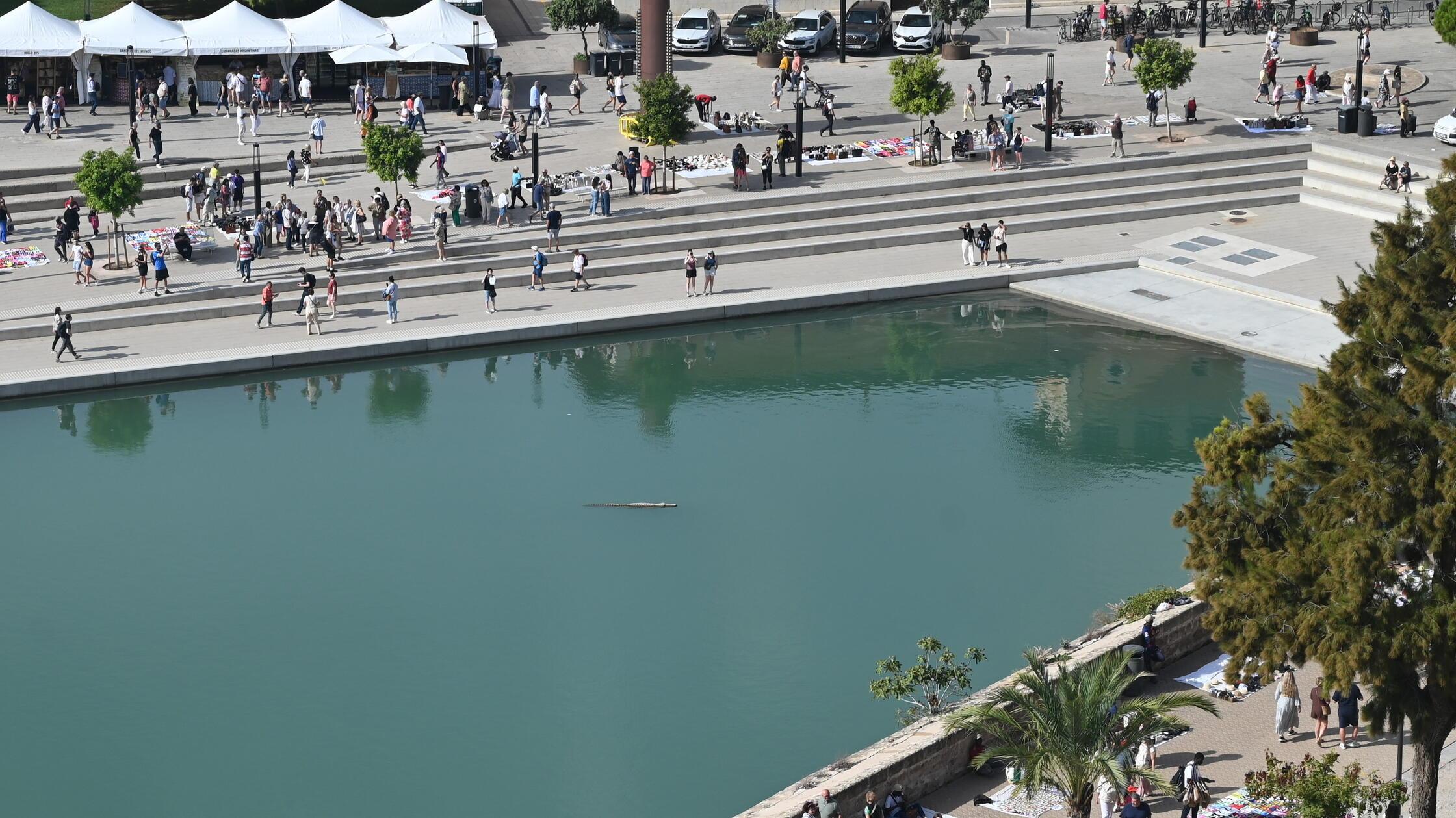 Eindrücke aus Palma, der Hauptstadt von Mallorca: Blick auf das kleine Becken vor der Kathedrale. Mitten im Hafen schwimmt ein ungewohntes Objekt.