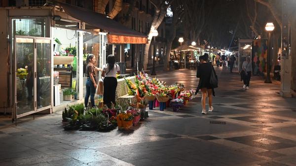 Eindrücke aus Palma, der Hauptstadt von Mallorca: Wie in Barcelona gibt es in Palma auch eine Straße namens La Rambla. Hier auf Mallorca haben ein paar Blumenhändler hier kleinere Stände.