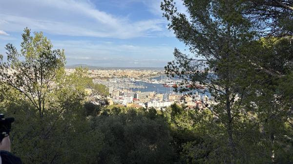 Eindrücke aus Palma, der Hauptstadt von Mallorca: Der kostenlos besuchbare Bosc del Castell de Bellver Park ist ein kleines, interessantes Wanderziel. Von hier kann man den Ausblick auf Palma genießen.