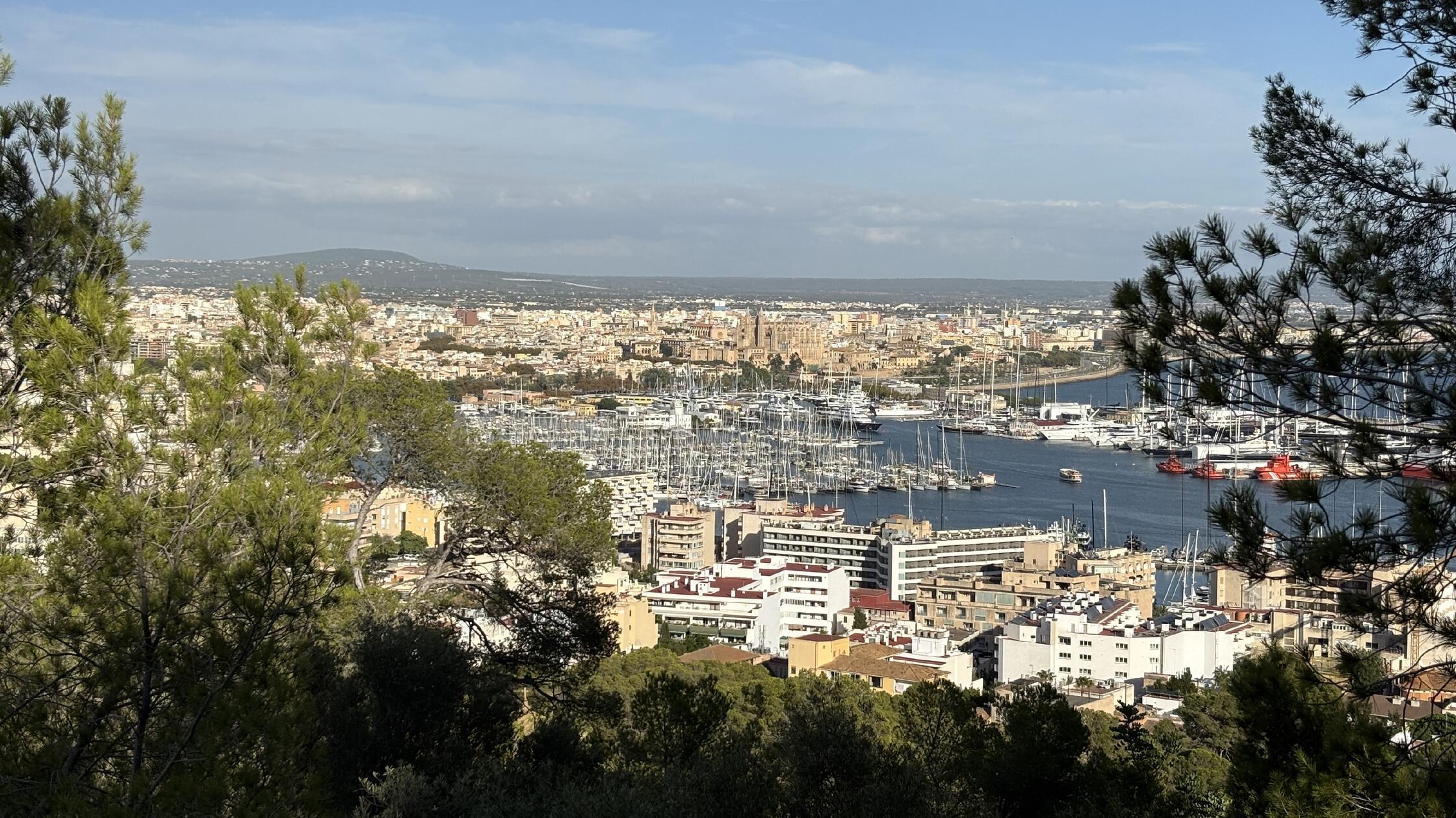 Eindrücke aus Palma, der Hauptstadt von Mallorca: Blick auf den Hafen.