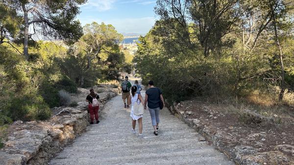 Eindrücke aus Palma, der Hauptstadt von Mallorca: Im Bosc del Castell de Bellver Park kann man auch Wandern gehen.
