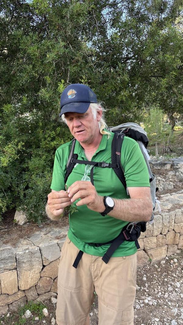 Eindrücke aus Palma, der Hauptstadt von Mallorca: Unser Tourguide Martin erklärt einige Besonderheiten der Pflanzen.