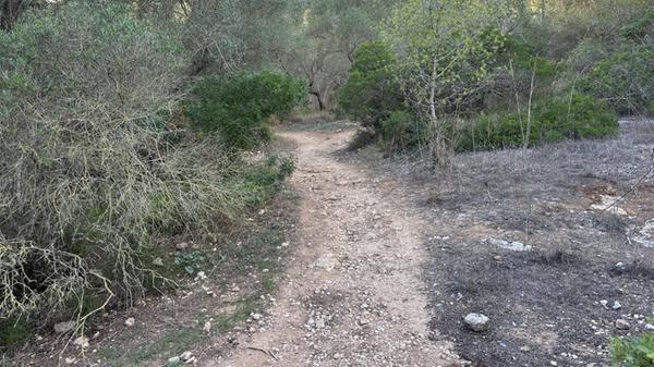 Eindrücke aus Palma, der Hauptstadt von Mallorca: Auch einige staubige, naturbelassene Wege gibt es hier.