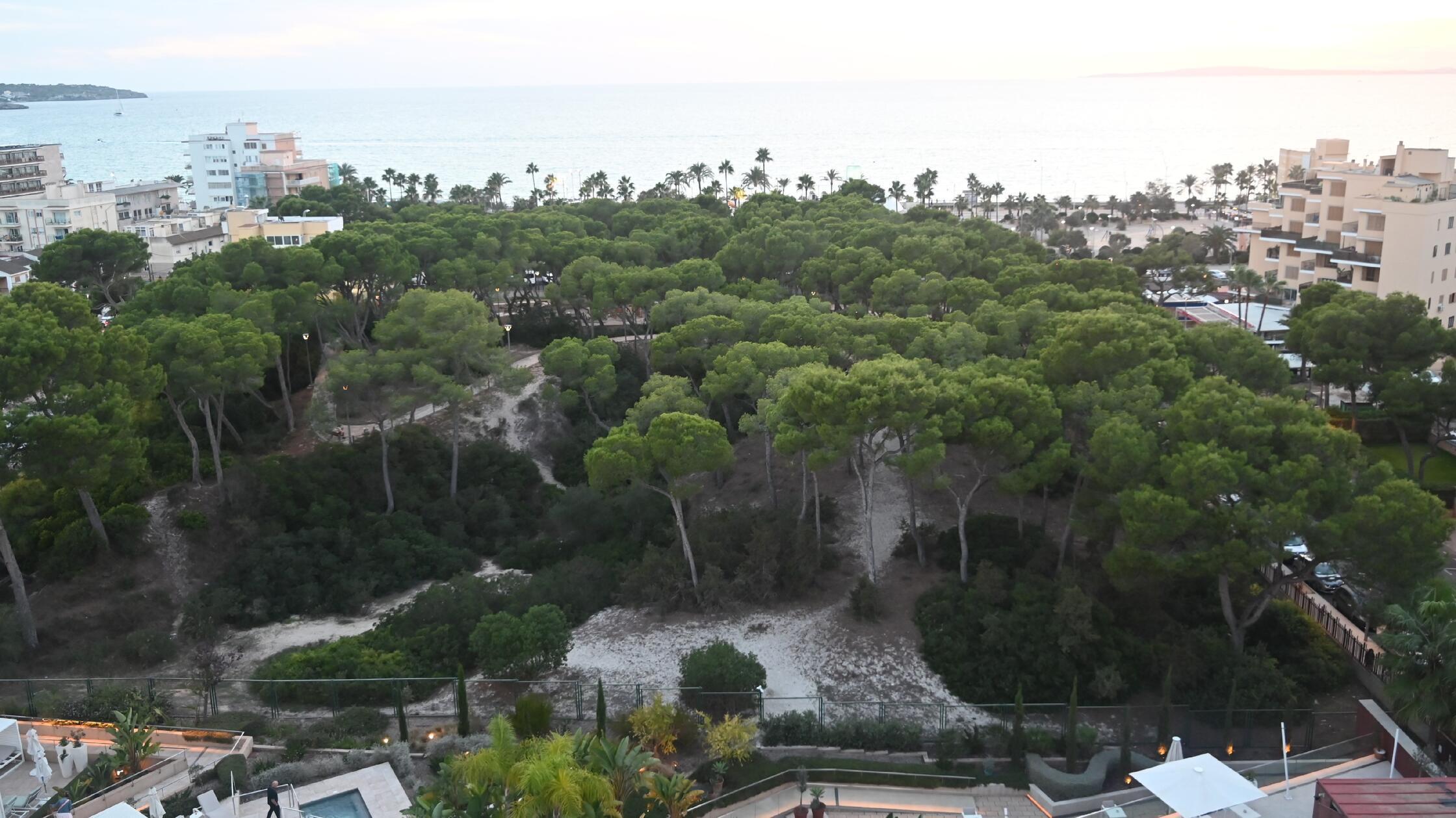 Eindrücke aus Palma, der Hauptstadt von Mallorca: Vor dem Iberostar Selection Llaut Palma liegt noch ein kleiner Park.