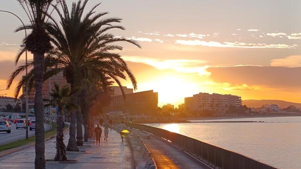 Eindrücke aus Palma, der Hauptstadt von Mallorca: Der Sonnenaufgang über der Uferpromenade.