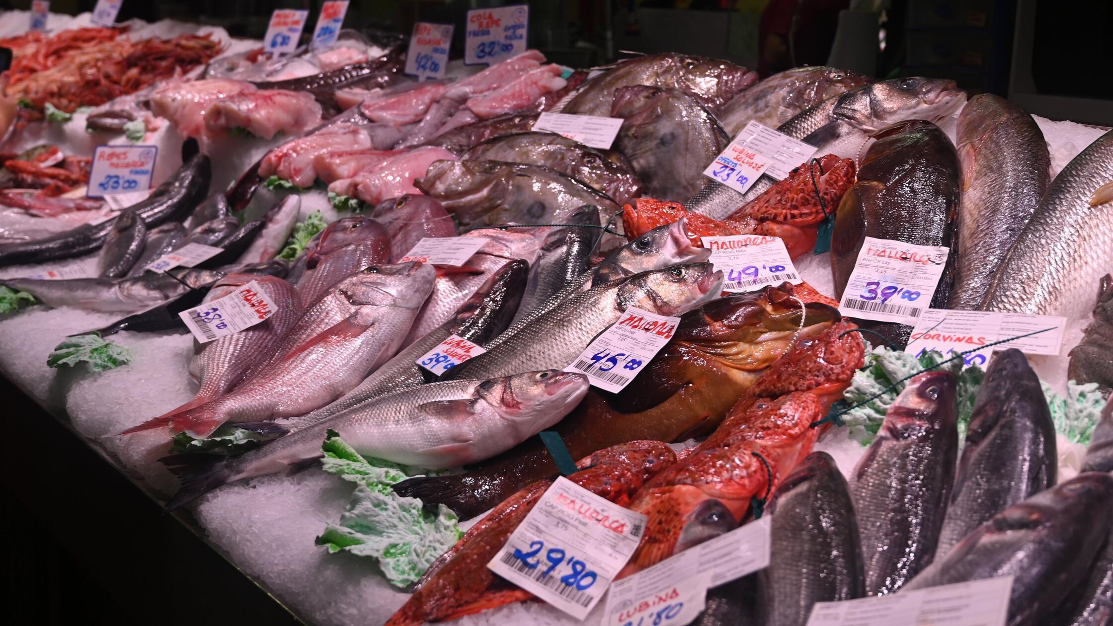 BG Palma Kochkurs Mallorca