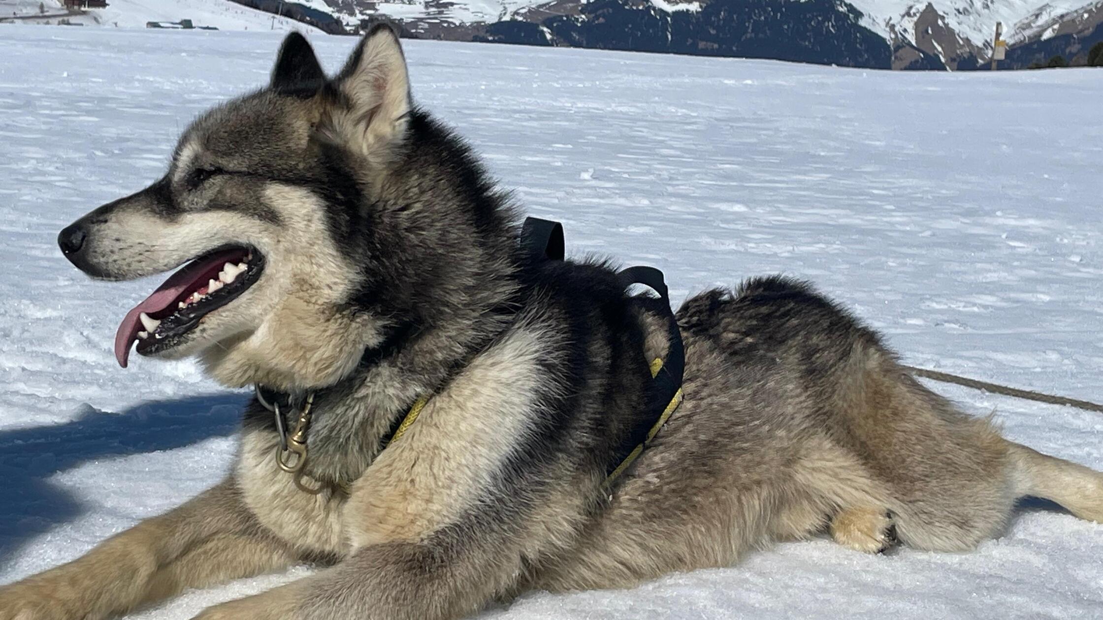 WhatsApp Image 2025-04-09 at 12.07.57