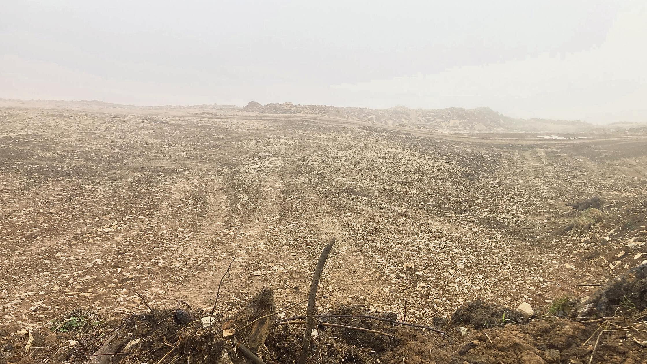 PM Foto SSW-Rodung, 09.11