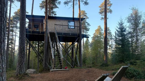 Ein absolutes Highlight für alle Outdoor-Liebhaber bietet die Unterkunft Tallkotten Treehouse Stay.