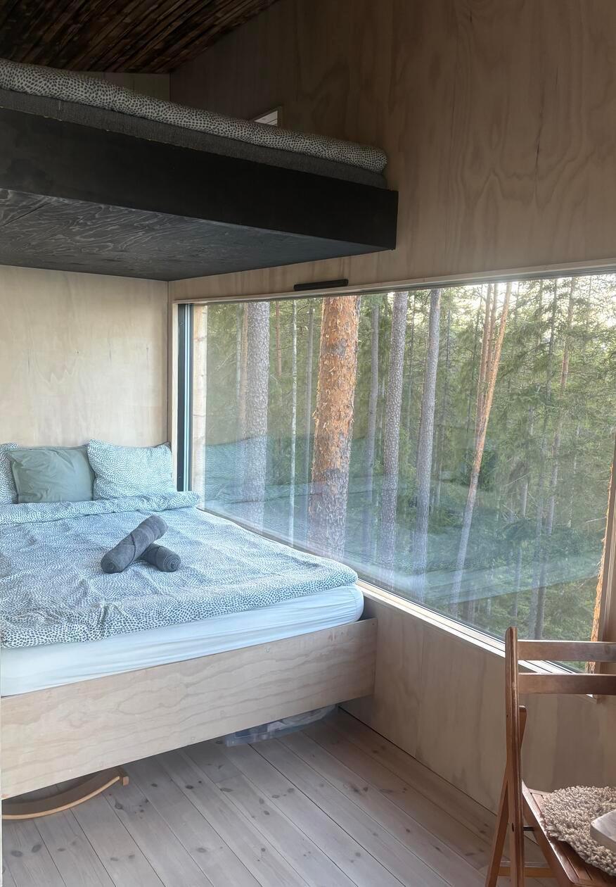 Ein atemberaubender Blick: Zwischen den Baumwipfeln lässt sich nicht nur der Wald aus luftiger Höhe beobachten - in der Nacht funkeln auch die Sterne.