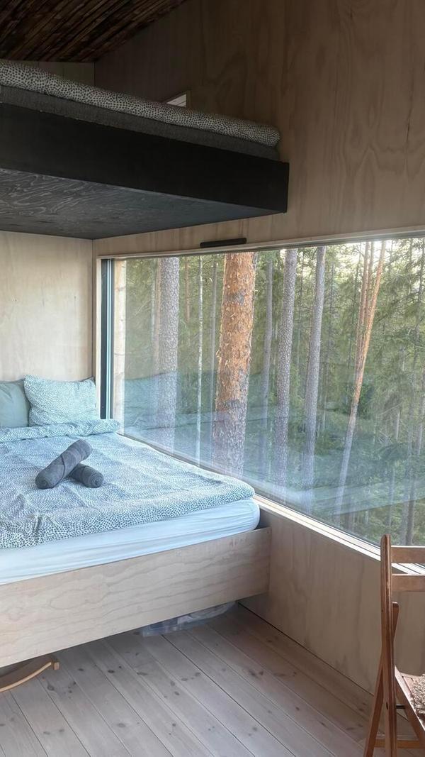 Ein atemberaubender Blick: Zwischen den Baumwipfeln lässt sich nicht nur der Wald aus luftiger Höhe beobachten - in der Nacht funkeln auch die Sterne.