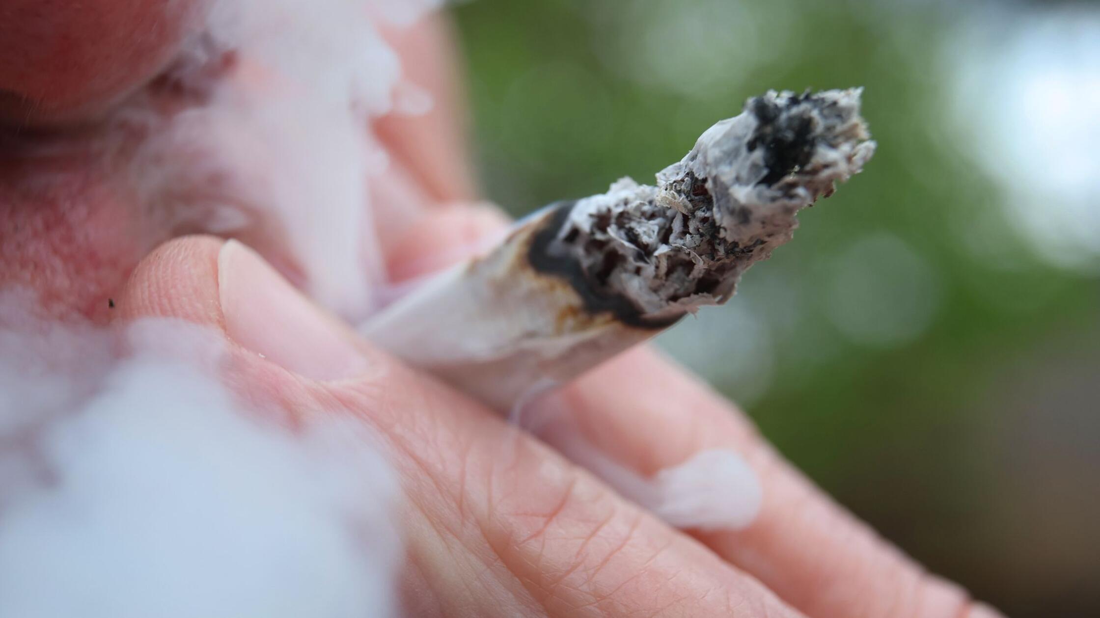 Studie zu Cannabis: Steigender Konsumtrend