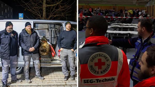 2025-11-15_13-09_collage