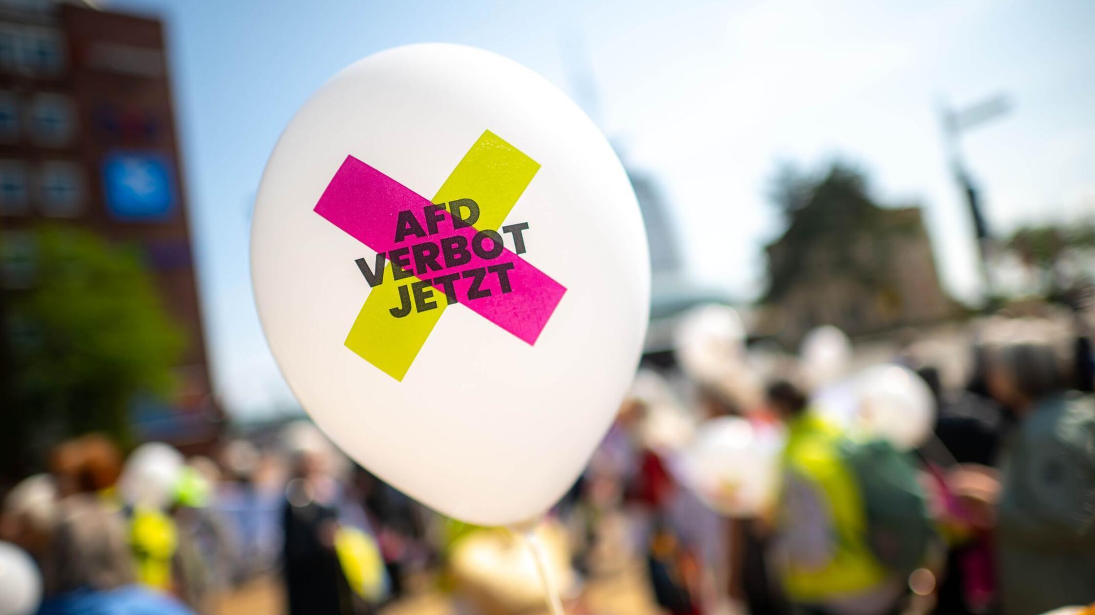 Grüne übergeben 400 Seiten AfD-Zitate an Innenminister