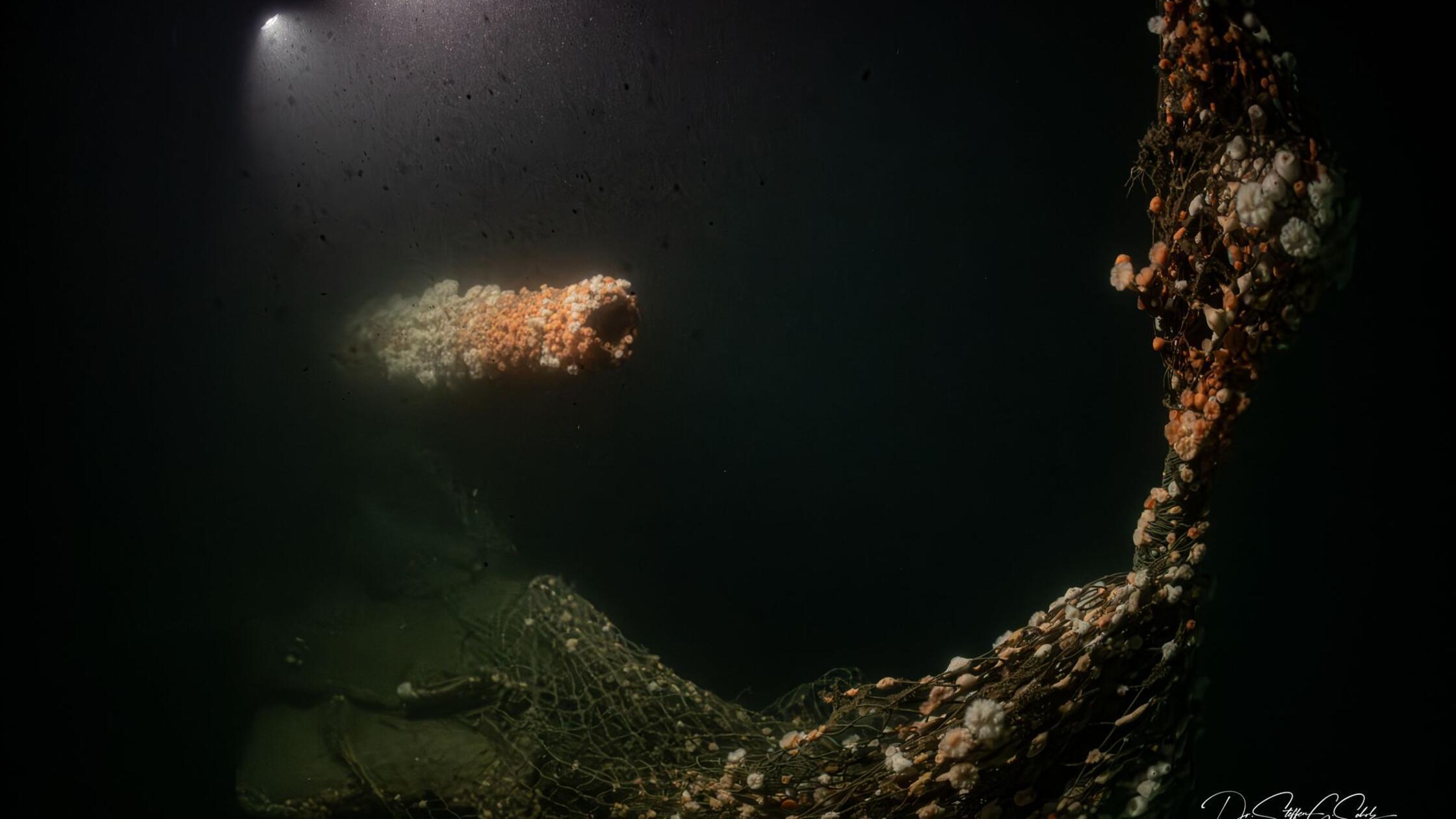 Von deutschem U-Boot versenkt: Forscher tauchen zu Wrack
