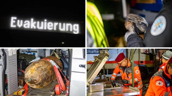 2025-11-15_09-42_collage