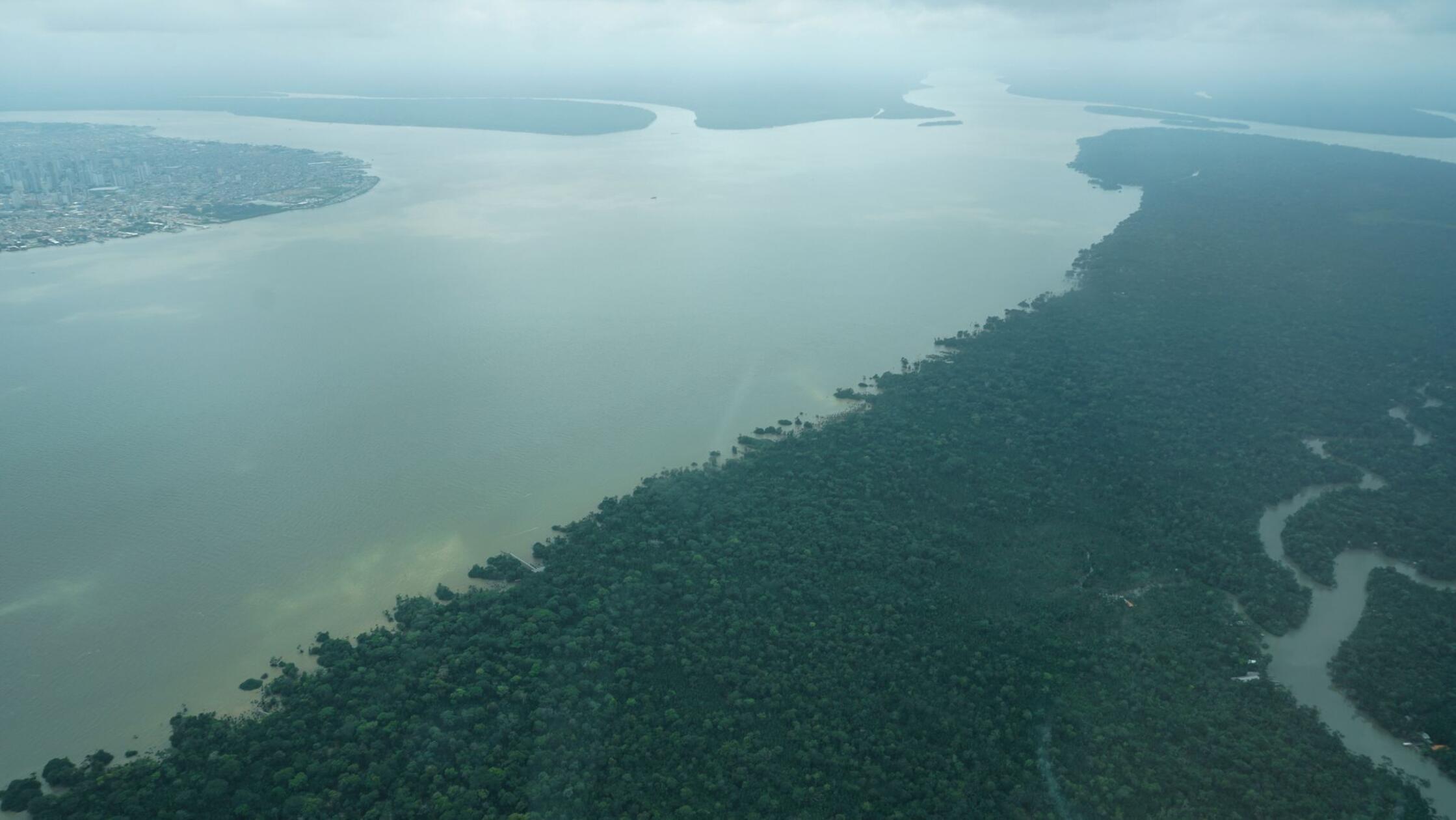Amazonski pragozd pod pritiskom, kar se odraža tudi v Berlinu