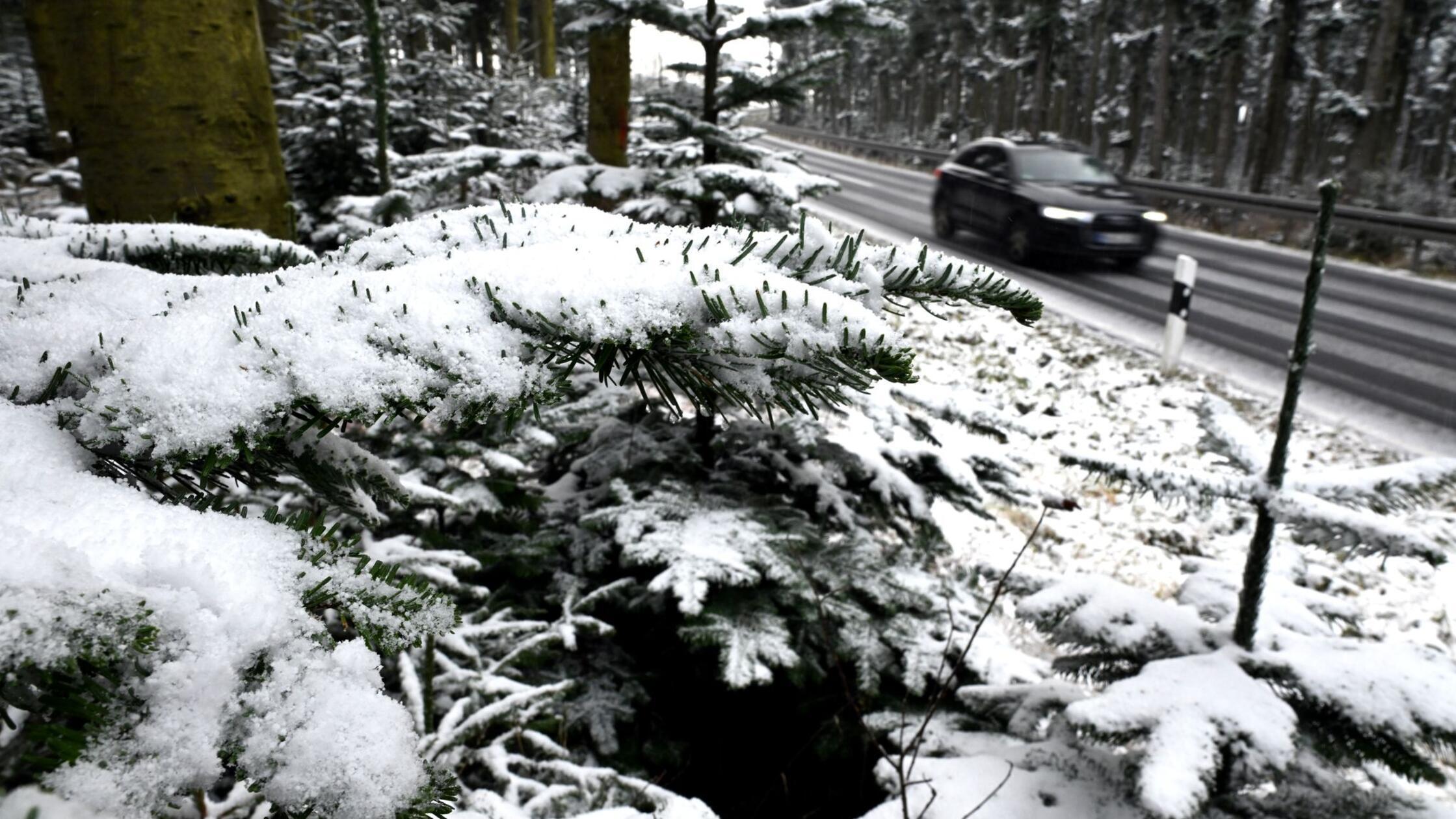 Schneefall in Mittelgebirgen und Alpen