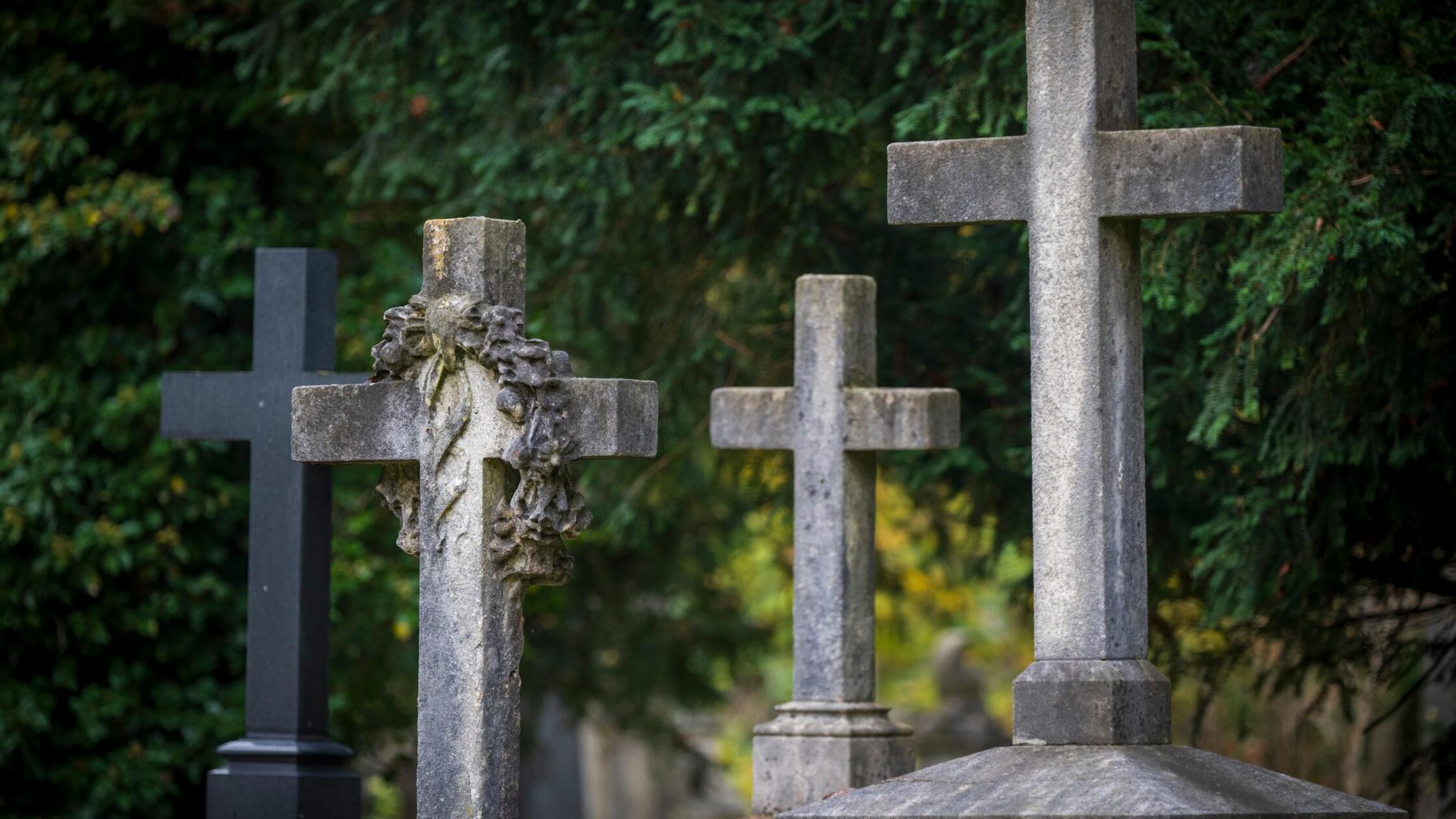 Novembrski dnevi prinašajo tišino in pripravo na advent