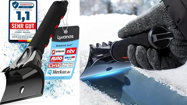 Eiskratzer Eismonster Auto