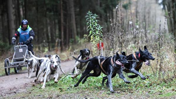 32-frankonia-open-2024-huskiysdaniel-decombe0y6a00